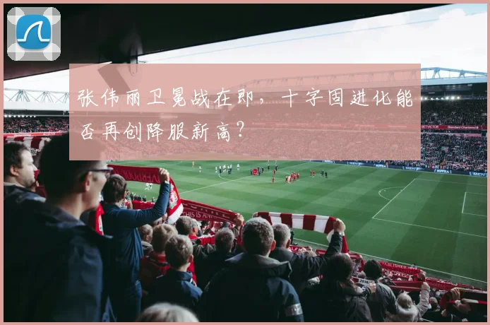 张伟丽卫冕战在即，十字固进化能否再创降服新高？